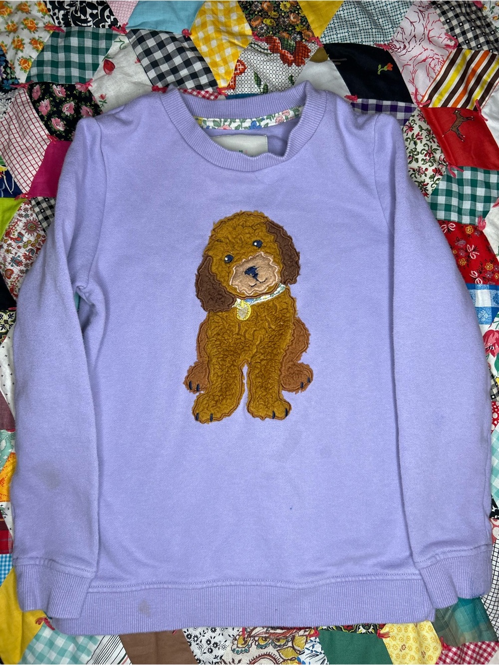 Mini Boden Lavender Dog Applique Pet Sweatshirt -